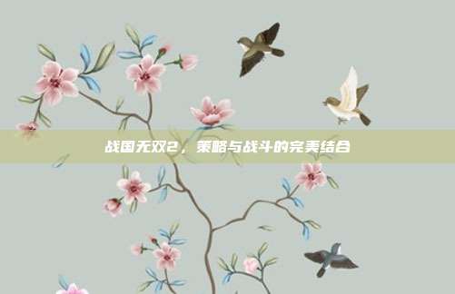 战国无双2,策略与战斗的完美结合