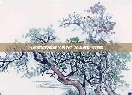 问道法宝技能哪个最好？全面解析与攻略