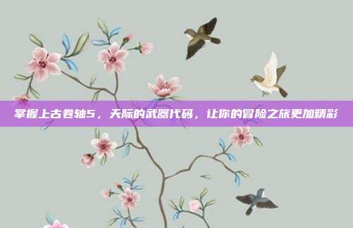 掌握上古卷轴5，天际的武器代码，让你的冒险之旅更加精彩