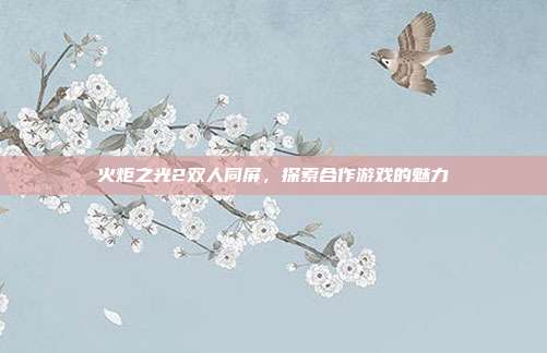 火炬之光2双人同屏,探索合作游戏的魅力