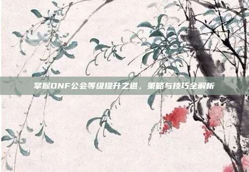 掌握DNF公会等级提升之道，策略与技巧全解析