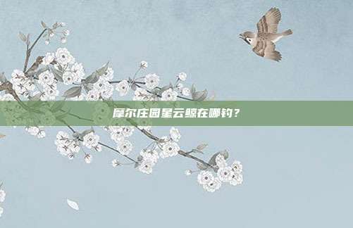 摩尔庄园星云鲸在哪钓?