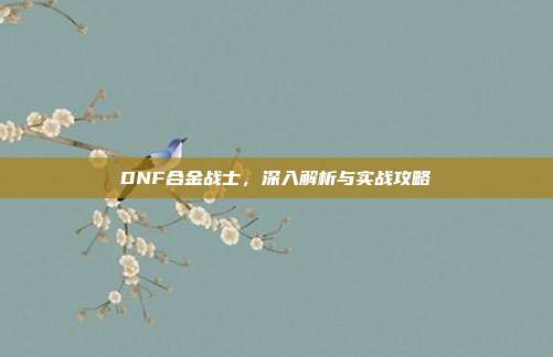 DNF合金战士,深入解析与实战攻略