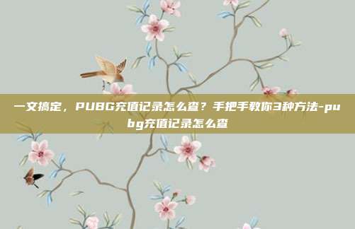 一文搞定，PUBG充值记录怎么查？手把手教你3种方法-pubg充值记录怎么查