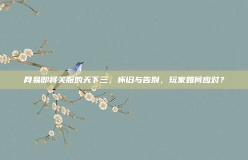 网易即将关服的天下三,怀旧与告别,玩家如何应对?