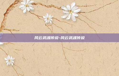风云武魂传说-风云武魂传说