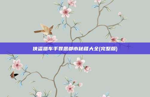 侠盗猎车手罪恶都市秘籍大全(完整版)