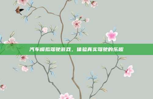 汽车模拟驾驶游戏,体验真实驾驶的乐趣
