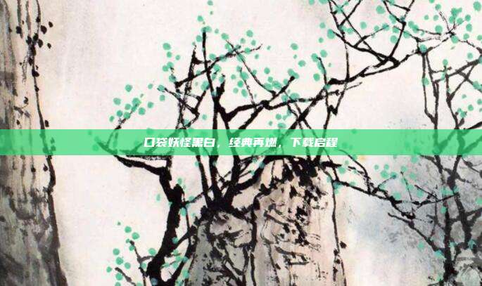口袋妖怪黑白,经典再燃,下载启程