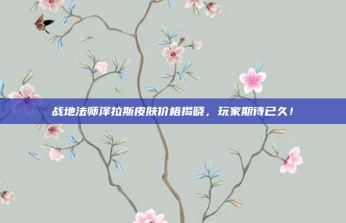 战地法师泽拉斯皮肤价格揭晓,玩家期待已久!