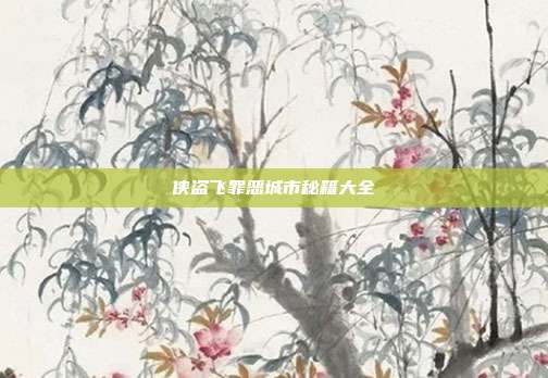 侠盗飞罪恶城市秘籍大全