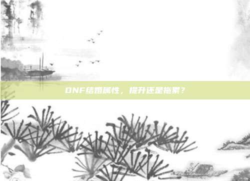 DNF结婚属性,提升还是拖累?