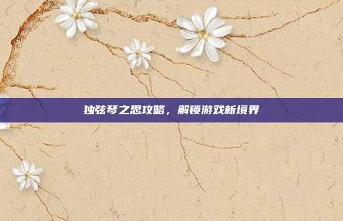 独弦琴之思攻略,解锁游戏新境界