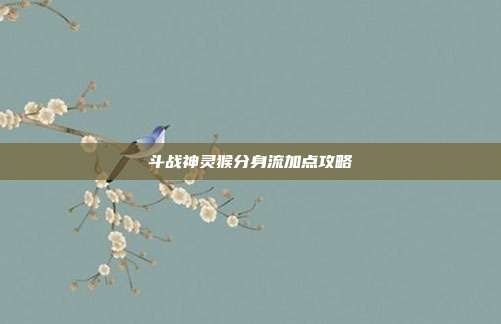 斗战神灵猴分身流加点攻略
