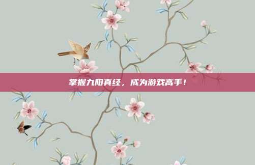 掌握九阳真经，成为游戏高手！