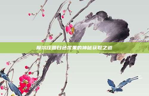 摩尔庄园白色浆果的神秘获取之道
