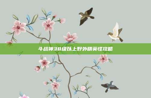 斗战神38级以上野外精英怪攻略