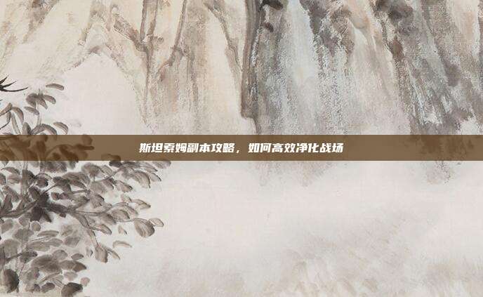 斯坦索姆副本攻略，如何高效净化战场