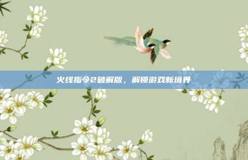 火线指令2破解版，解锁游戏新境界