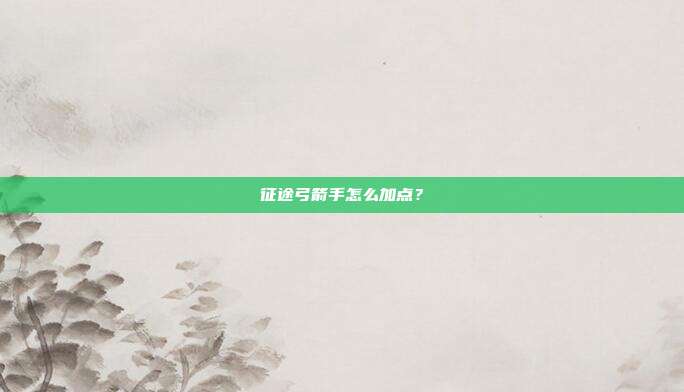征途弓箭手怎么加点？