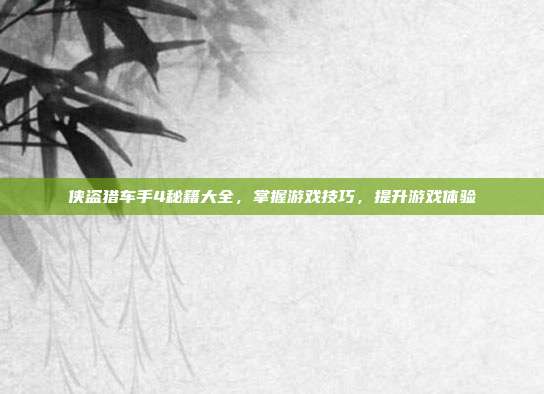 侠盗猎车手4秘籍大全,掌握游戏技巧,提升游戏体验