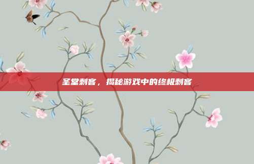 圣堂刺客，揭秘游戏中的终极刺客
