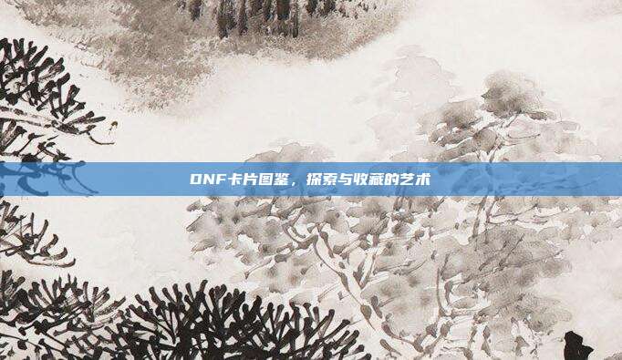 DNF卡片图鉴,探索与收藏的艺术