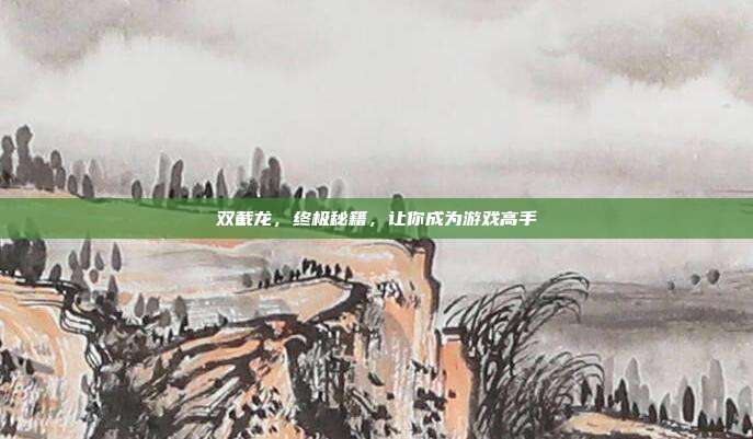 双截龙，终极秘籍，让你成为游戏高手
