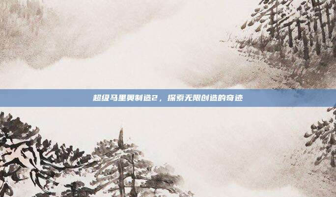 超级马里奥制造2,探索无限创造的奇迹