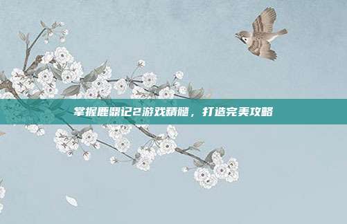 掌握鹿鼎记2游戏精髓，打造完美攻略