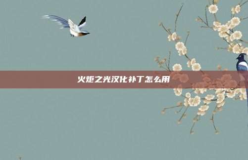 火炬之光汉化补丁怎么用