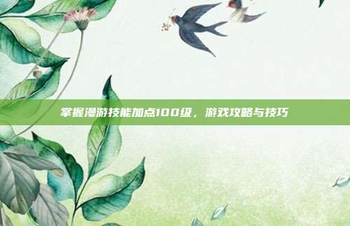掌握漫游技能加点100级,游戏攻略与技巧