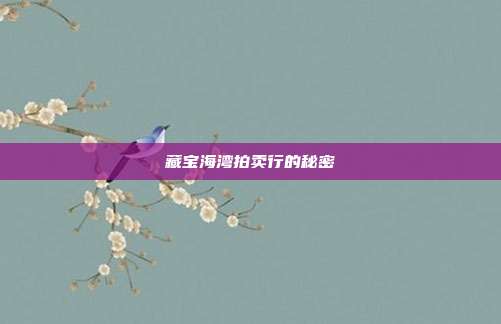 藏宝海湾拍卖行的秘密