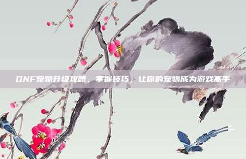 DNF宠物升级攻略,掌握技巧,让你的宠物成为游戏高手