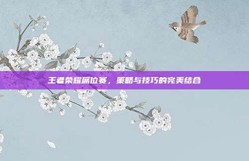 王者荣耀席位赛,策略与技巧的完美结合