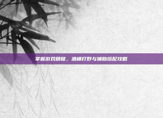 掌握游戏精髓，酒桶打野与辅助搭配攻略