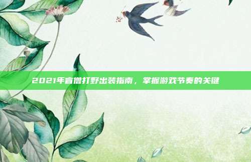 2021年盲僧打野出装指南,掌握游戏节奏的关键