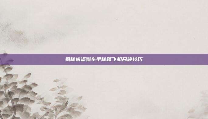 揭秘侠盗猎车手秘籍飞机召唤技巧