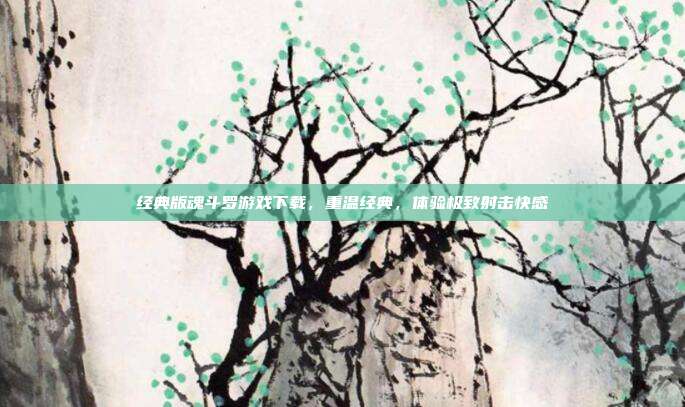 经典版魂斗罗游戏下载,重温经典,体验极致射击快感