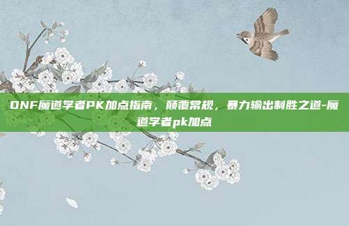 DNF魔道学者PK加点指南，颠覆常规，暴力输出制胜之道-魔道学者pk加点