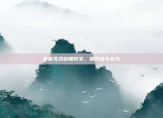 掌握无双剑姬符文，提升战斗实力