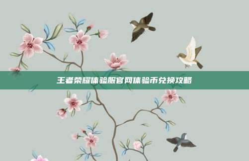 王者荣耀体验服官网体验币兑换攻略