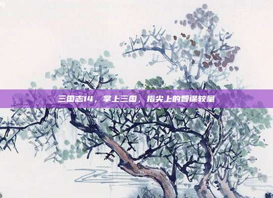 三国志14,掌上三国,指尖上的智谋较量