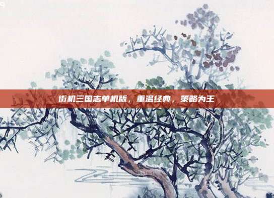 街机三国志单机版，重温经典，策略为王