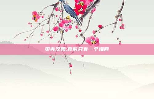 贝克汉姆:真的只有一个梅西