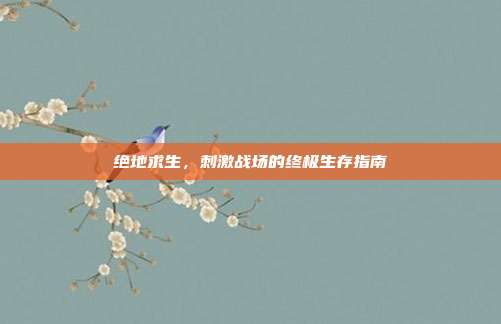 绝地求生,刺激战场的终极生存指南