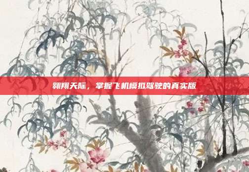 翱翔天际,掌握飞机模拟驾驶的真实版