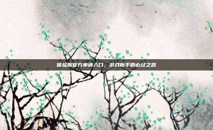 体验服官方申请入口，游戏新手的必经之路