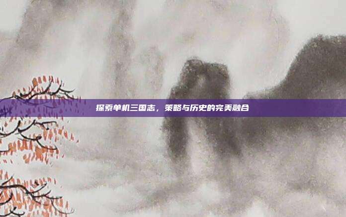 探索单机三国志,策略与历史的完美融合