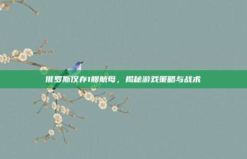 俄罗斯仅存1艘航母,揭秘游戏策略与战术